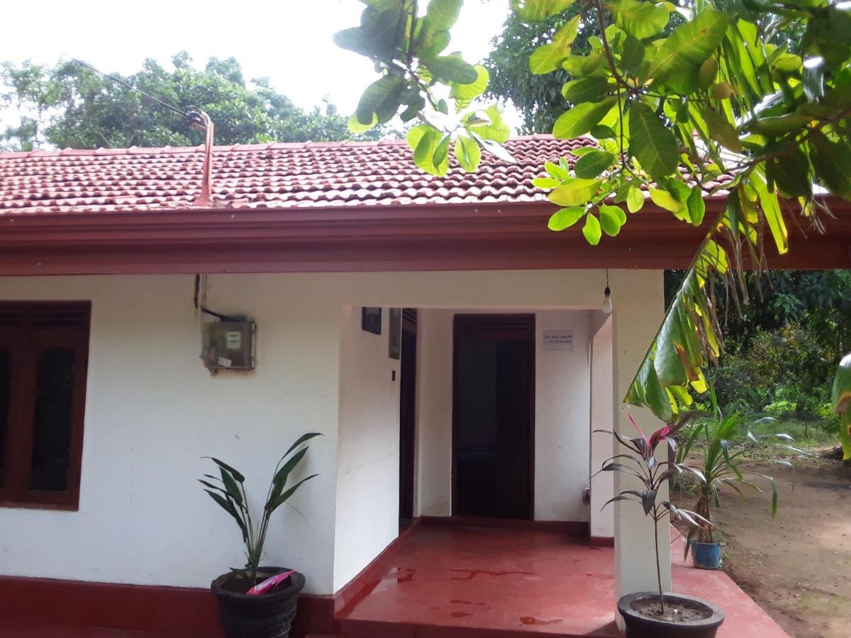 Llt Budget Room Wilpattu Nochchiyagama Extérieur photo